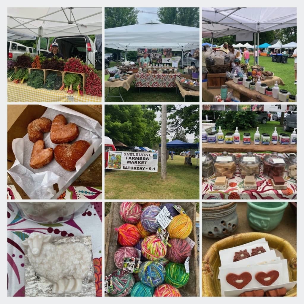 shelburne vermont farmers market