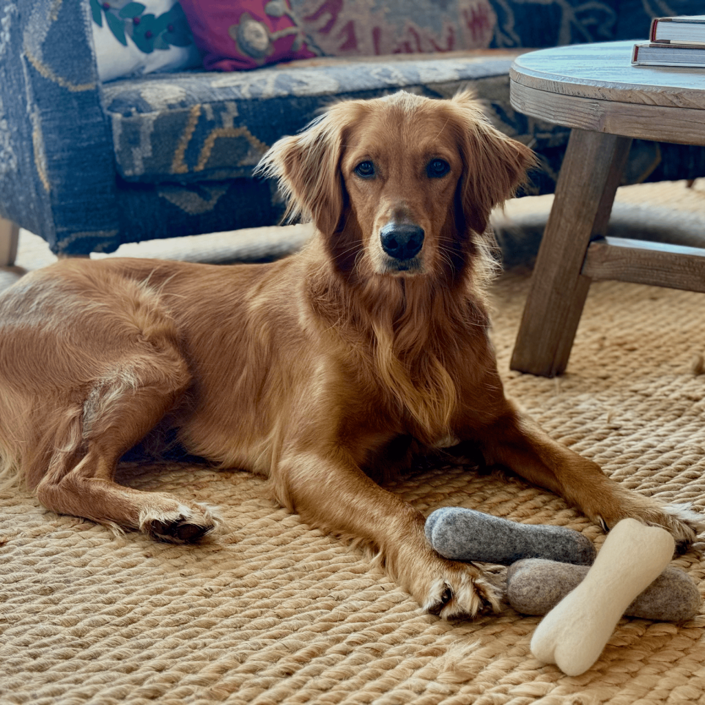 Felted Natural Dog Bone Toy.png