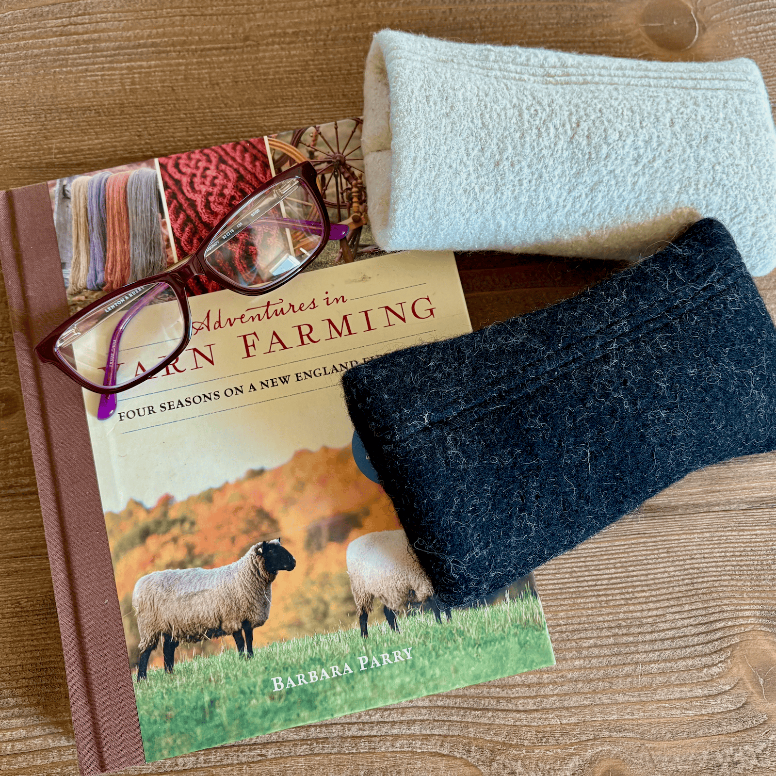 Felted Wool Eyeglass Sleeve