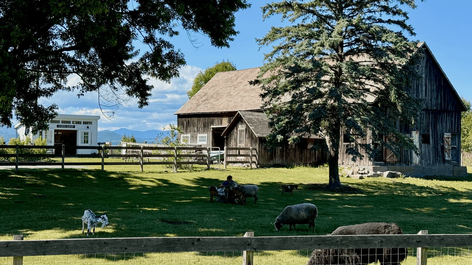 Connect with Wiggly Goat Farm