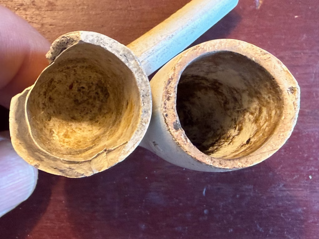 Top view of two well-used nineteenth-century clay tobacco pipe bowls showing carbon residue from years of smoking.